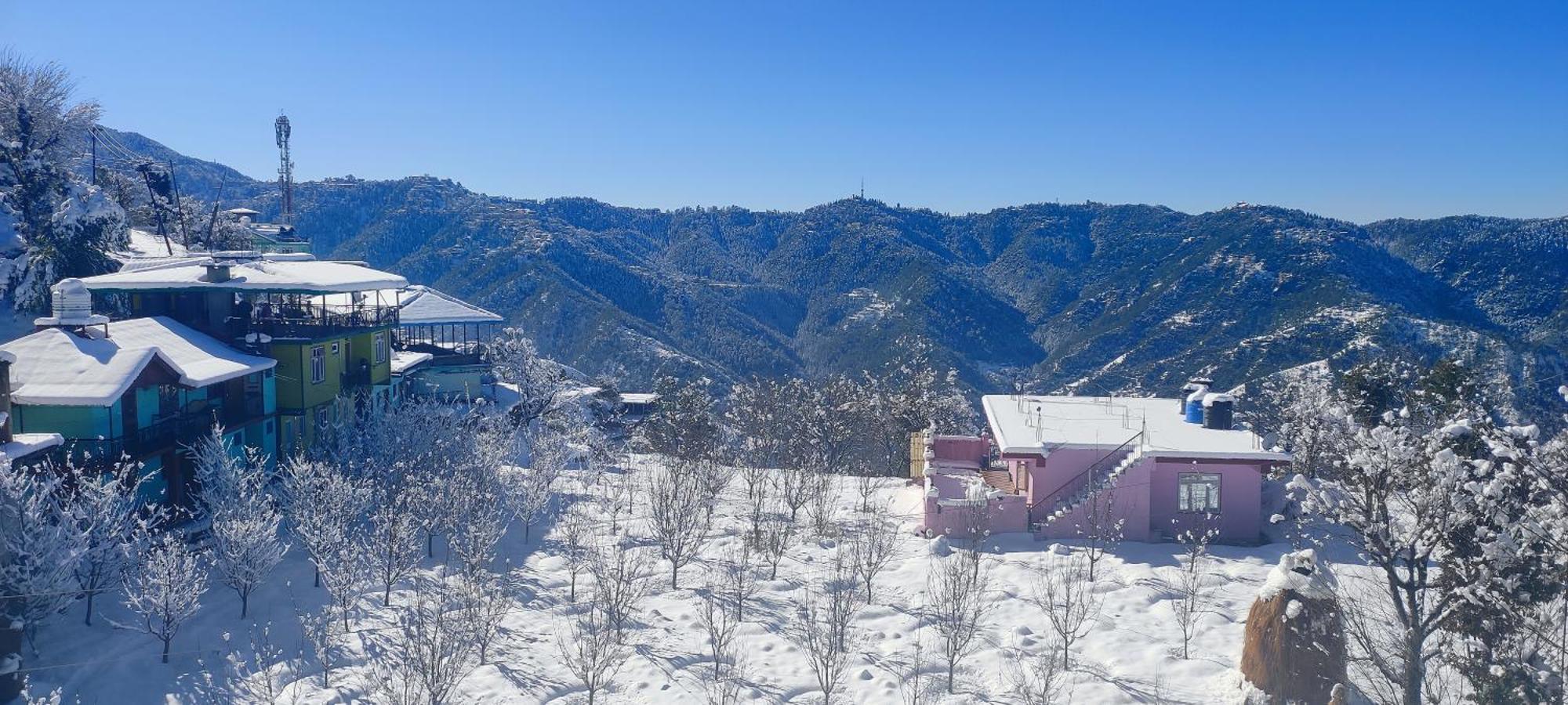 Vintage Woods Inn Shimla Ngoại thất bức ảnh